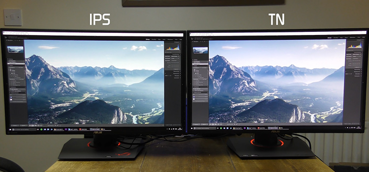 1440p TN Panel vs 1080p IPS Panel | Which One Would Suit You Better?