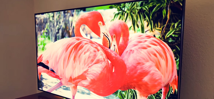 4K TV Only Showing 1080P