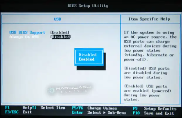 Enable-USB-Always-On-from-BIOS